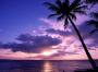 Tahitian Paradise.jpg